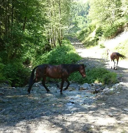 Appartamento Ascherhof *