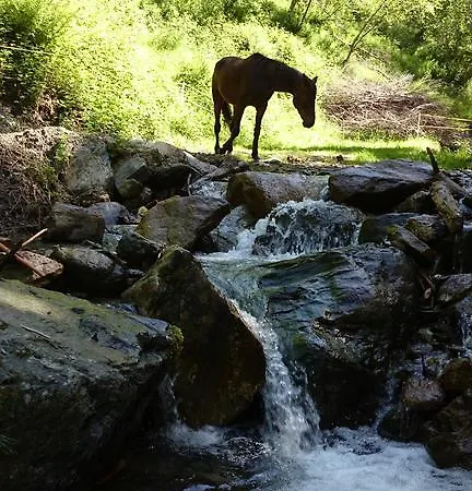 Appartamento Ascherhof