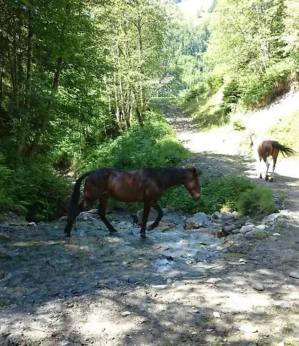 Apartman Ascherhof *