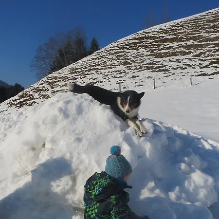 Ascherhof شقة اوفاش